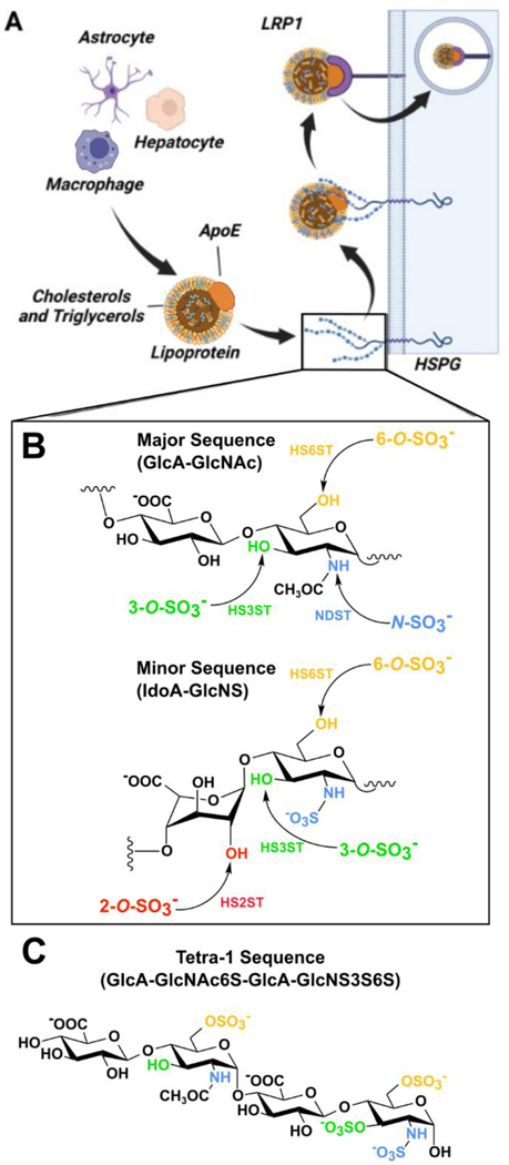 Figure 2.