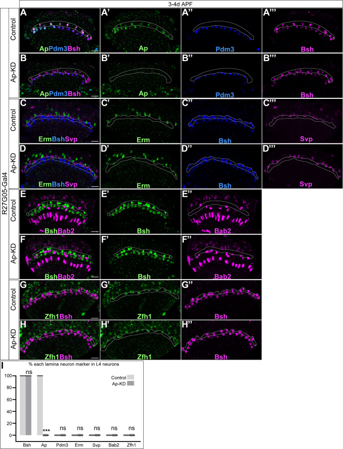 Figure 3—figure supplement 3.