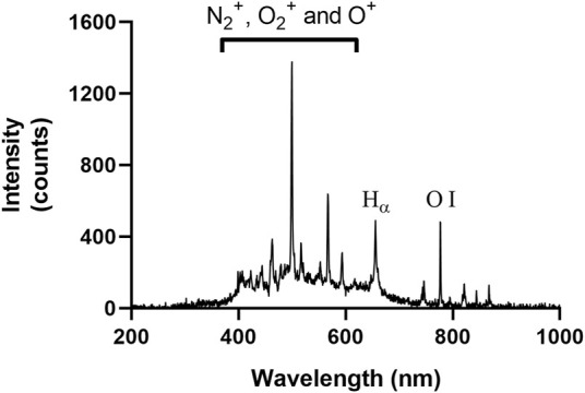 FIGURE 3