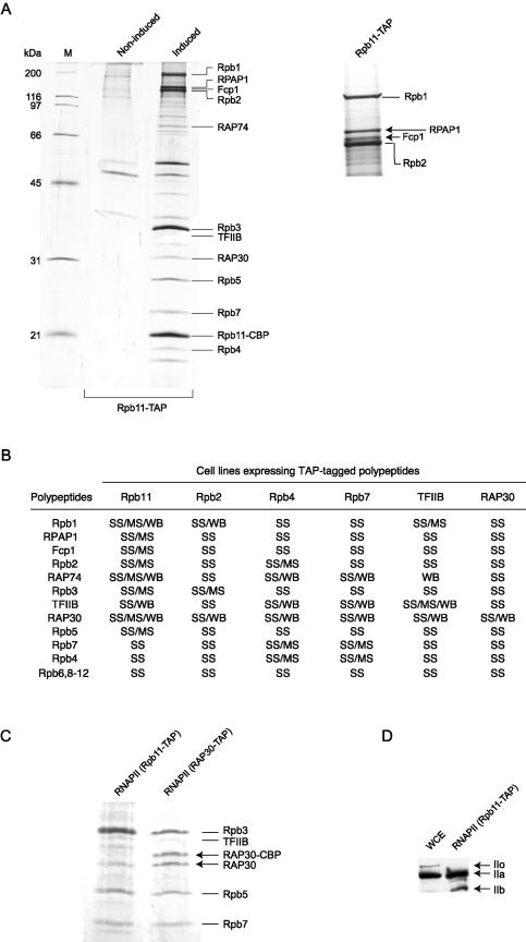 FIG.2.