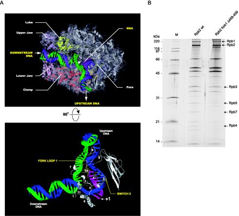 FIG. 6.