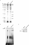 FIG. 7.