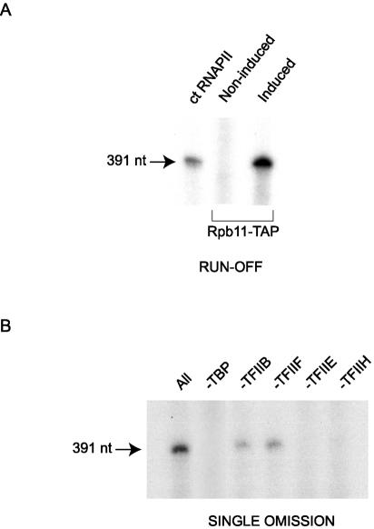 FIG. 5.