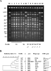 FIG. 3.