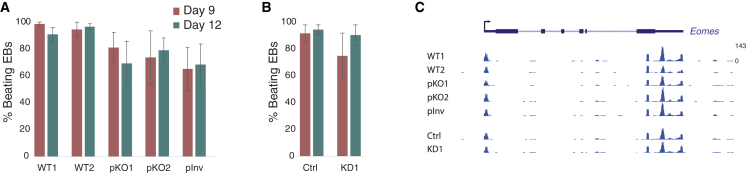 Figure 3