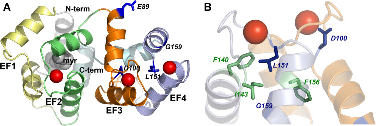 Fig. 1