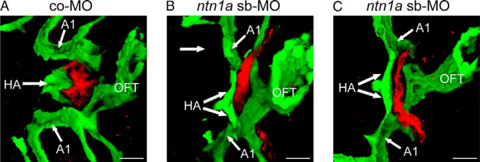 Figure 5.