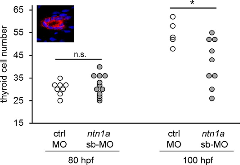 Figure 6.