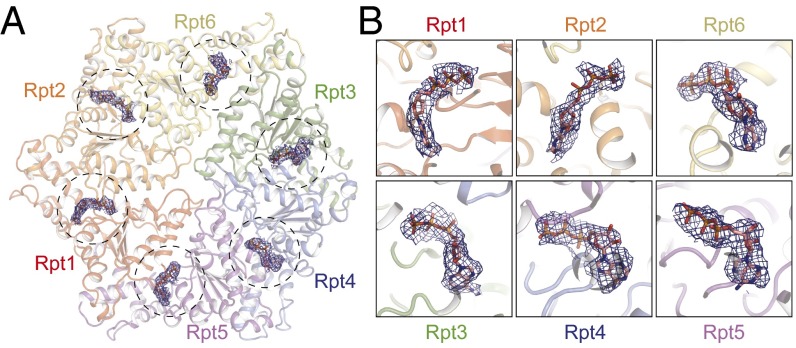 Fig. 3.