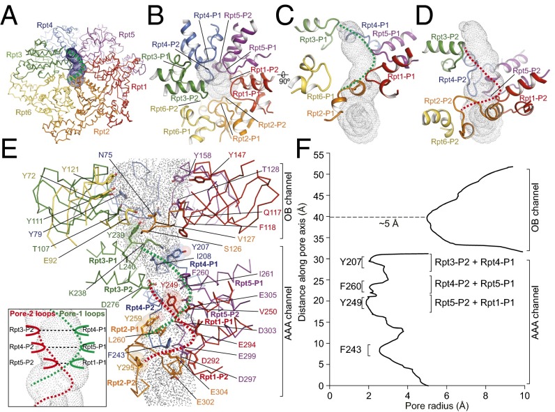 Fig. 4.