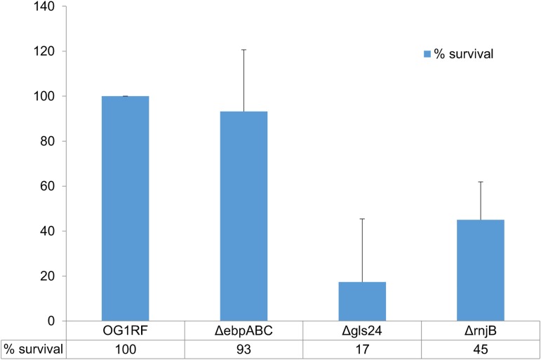 Fig 6