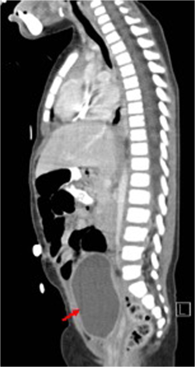 Figure 4: