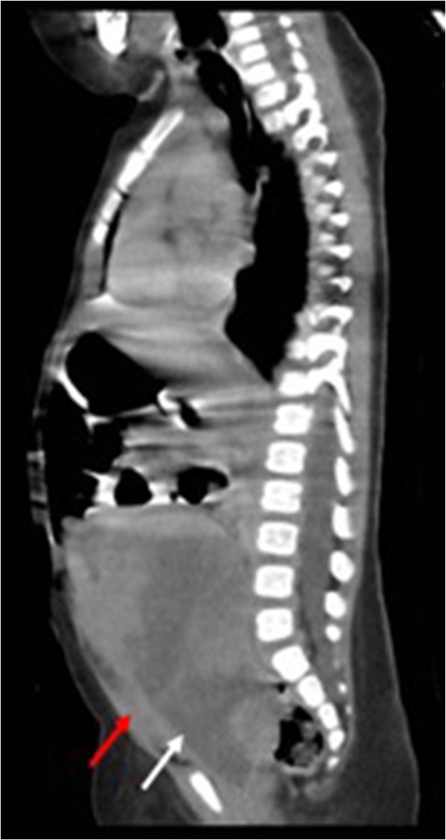 Figure 1: