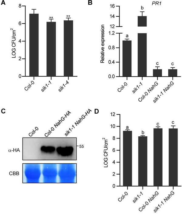 Figure 3.