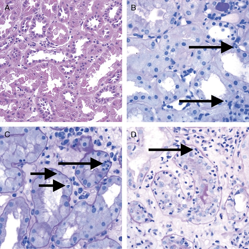 FIGURE 3