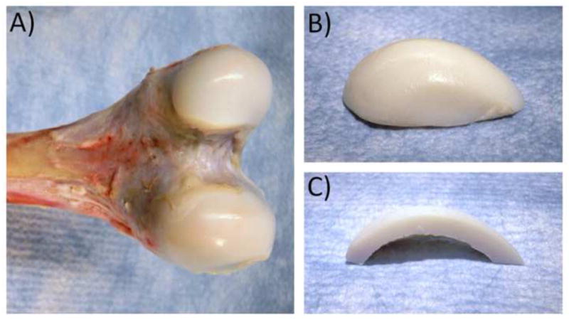 Fig. 8