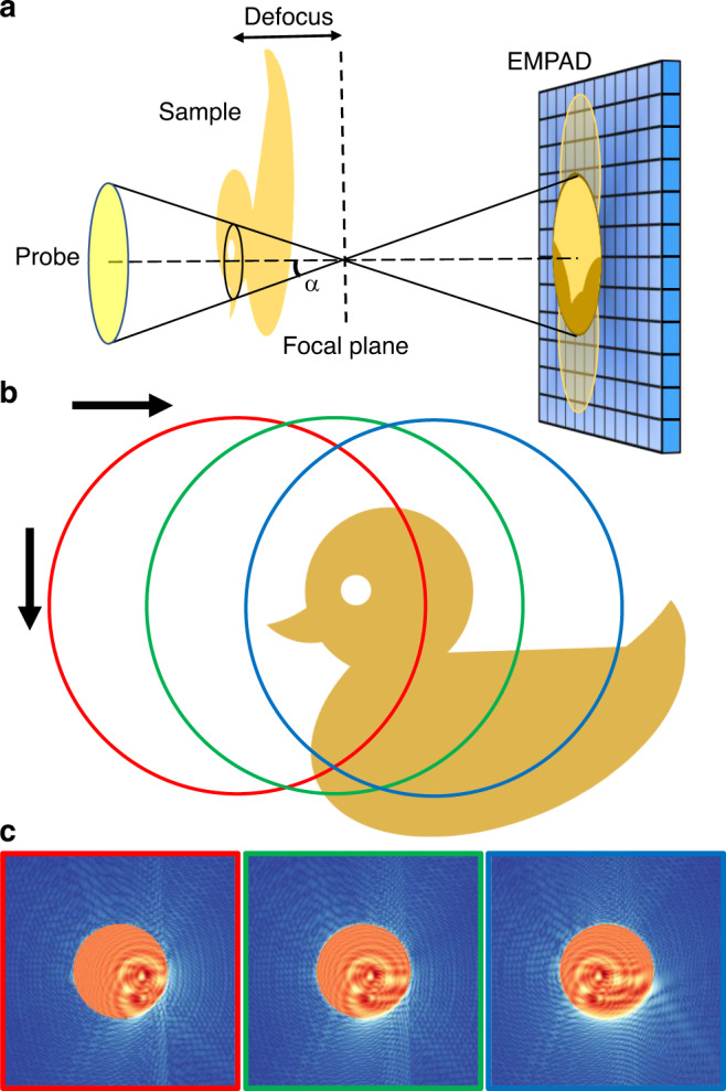 Fig. 1