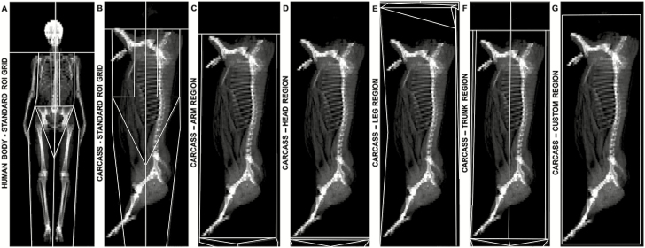 Figure 2.