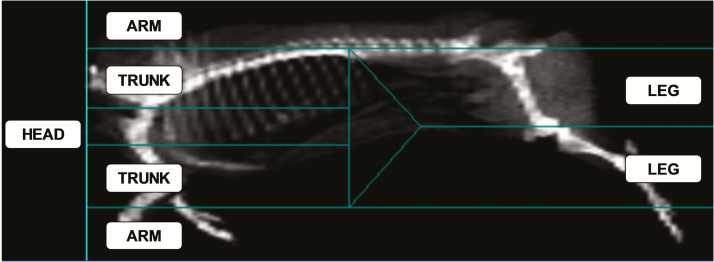 Figure 1.