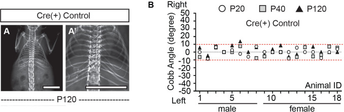 Figure 2—figure supplement 1.