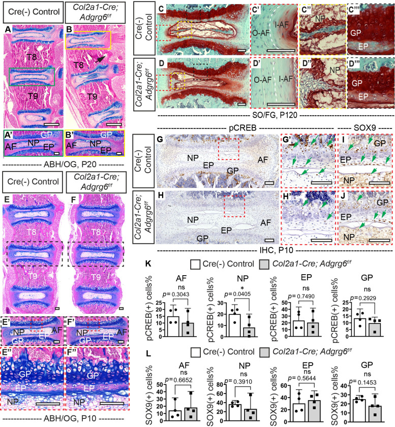 Figure 3—figure supplement 1.