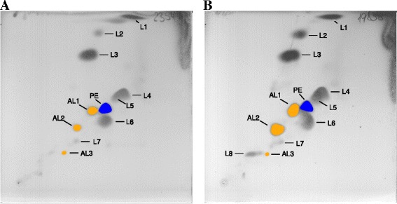 Fig. 3