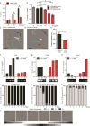 EXTENDED DATA FIGURE 10