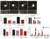 EXTENDED DATA FIGURE 6