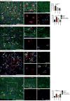 EXTENDED DATA FIG 13