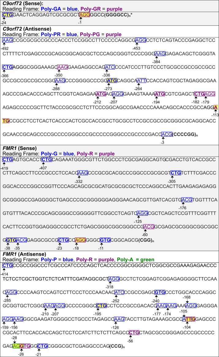 Fig 11