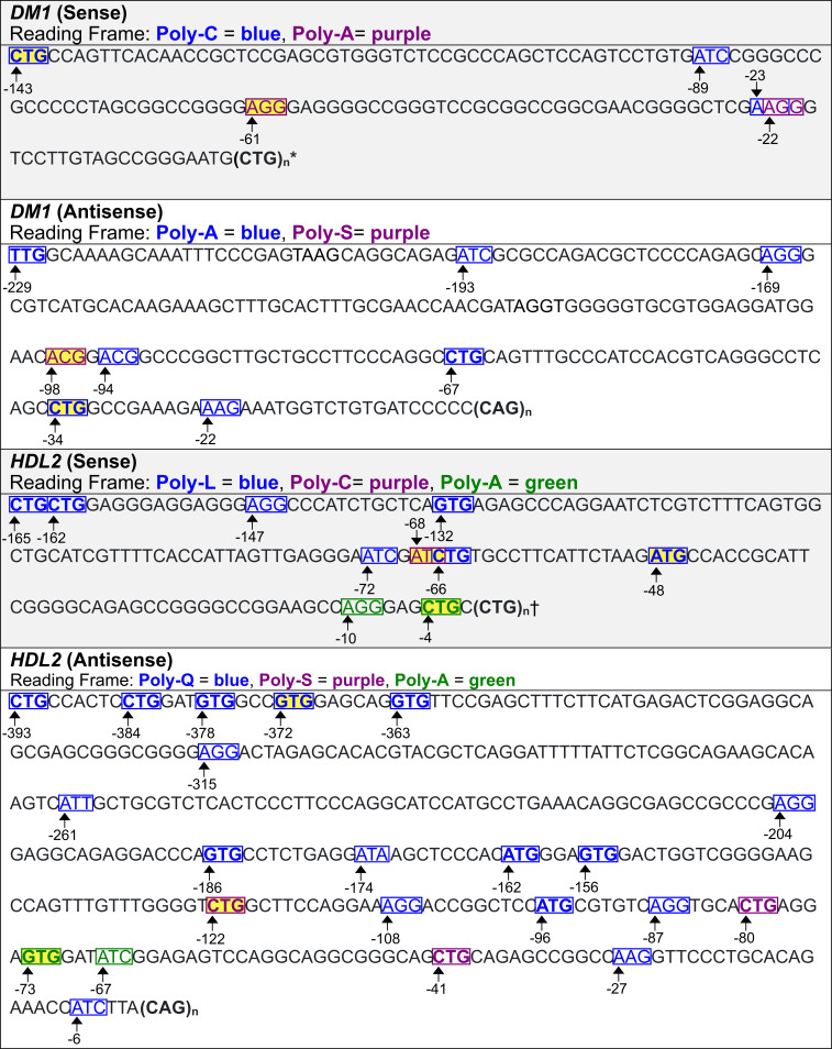 Fig 12