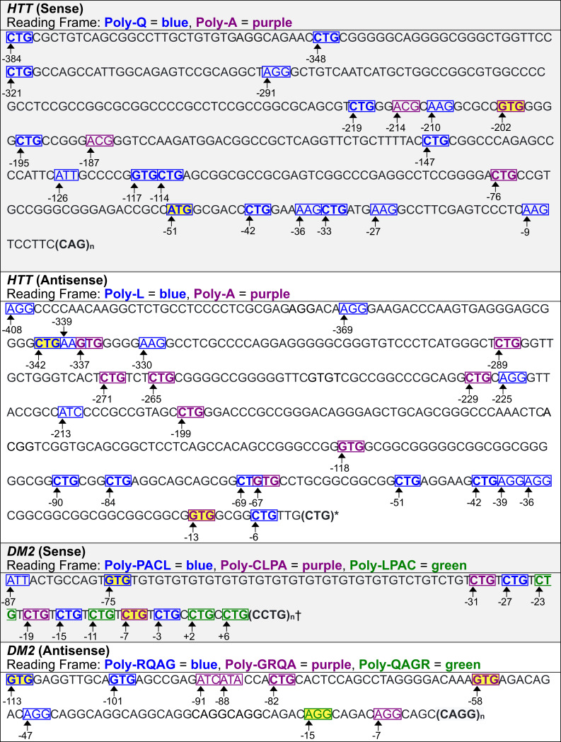 Fig 13