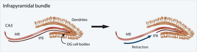 Fig. 3