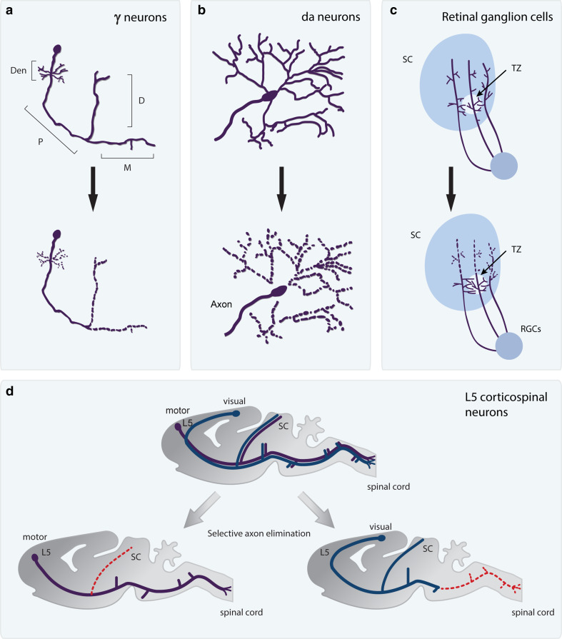 Fig. 2