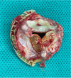 Fig. 2