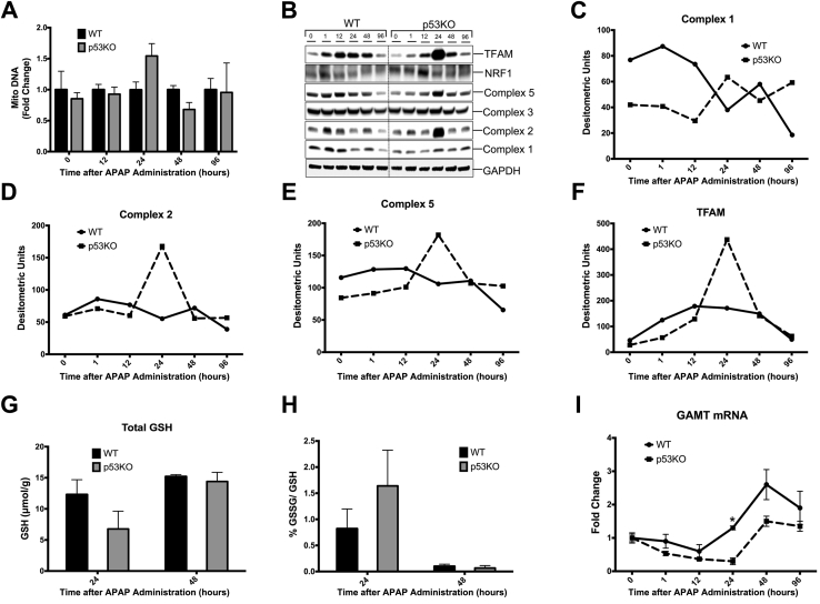 Figure 6