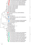 Fig. 2