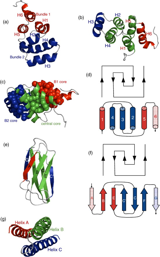 Fig. 1