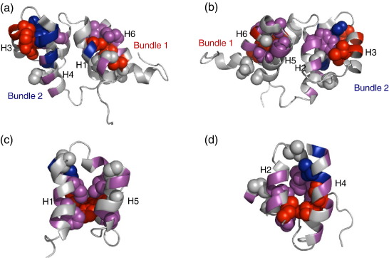 Fig. 3