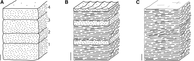 FIG. 18.