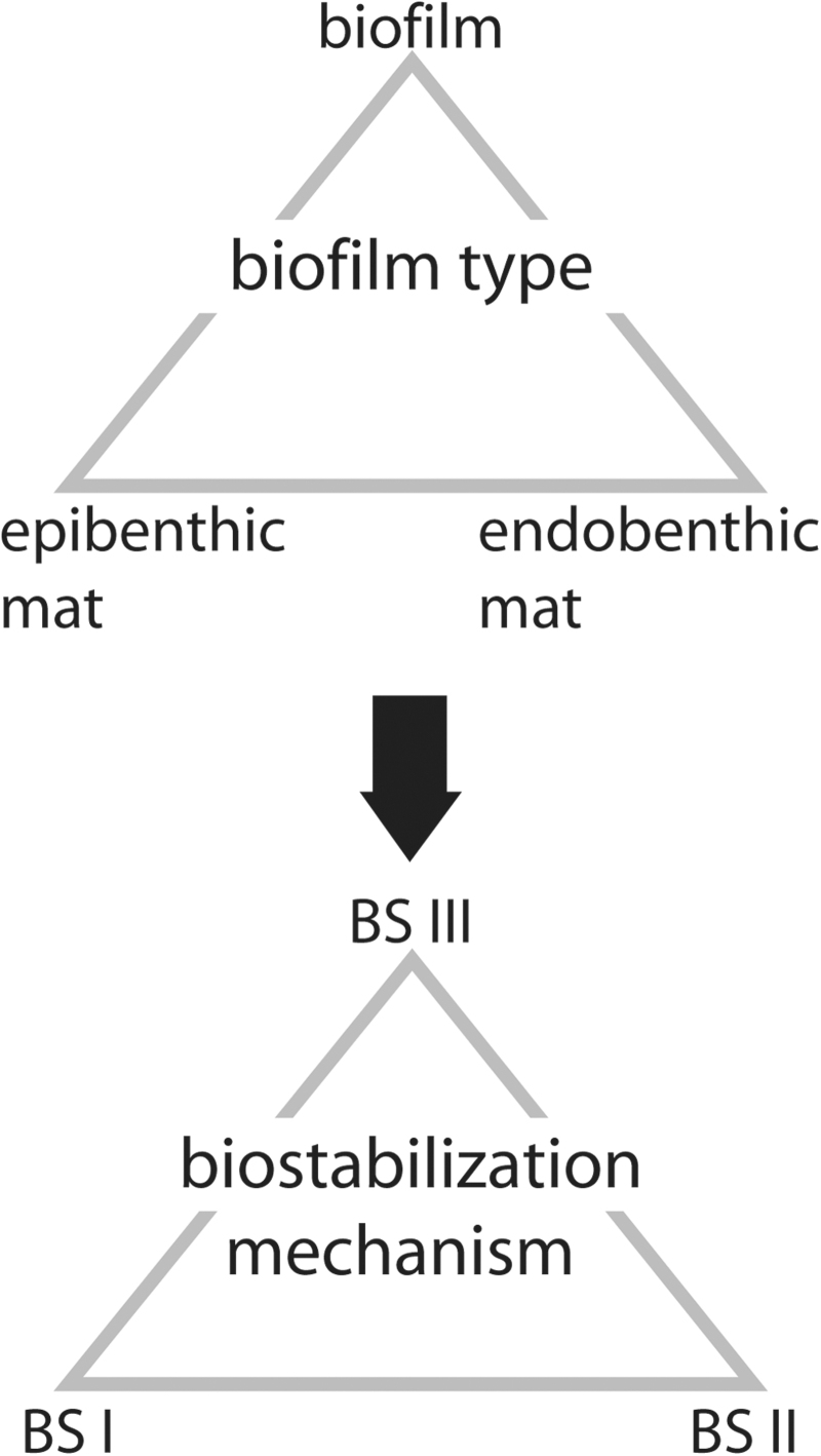 FIG. 9.