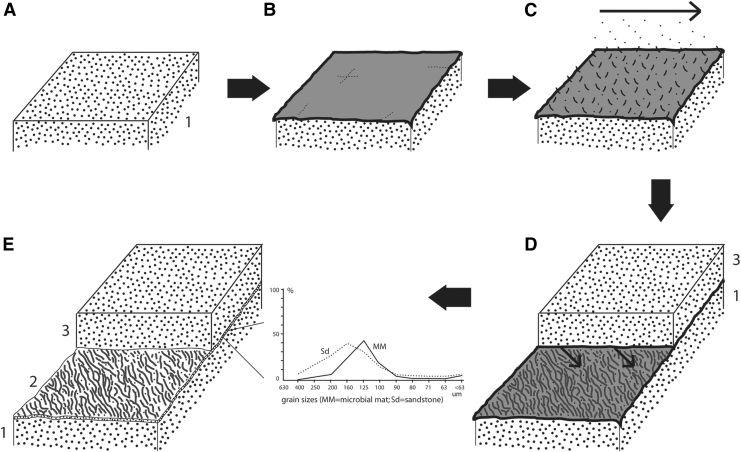 FIG. 17.