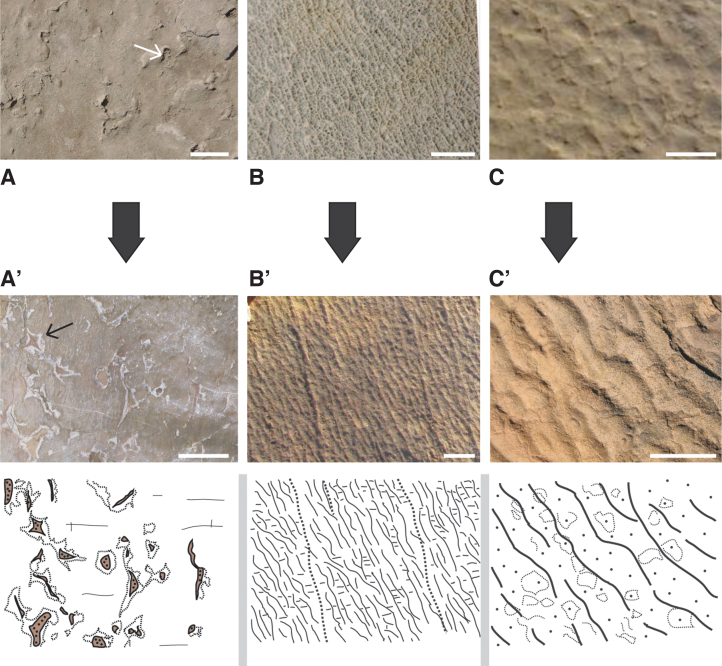 FIG. 14.