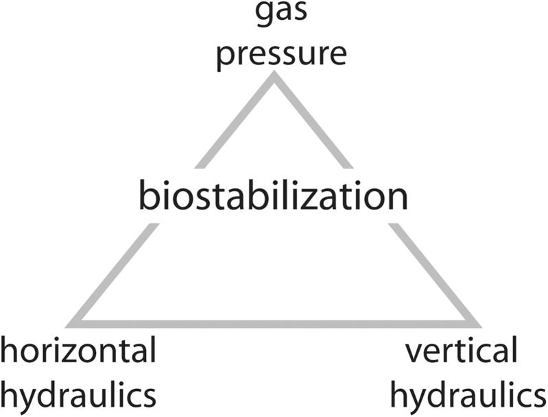 FIG. 8.