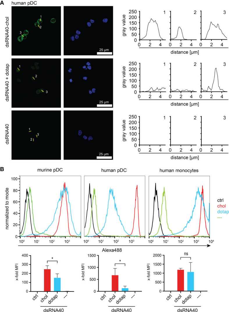 Figure 4