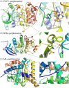 Figure 10