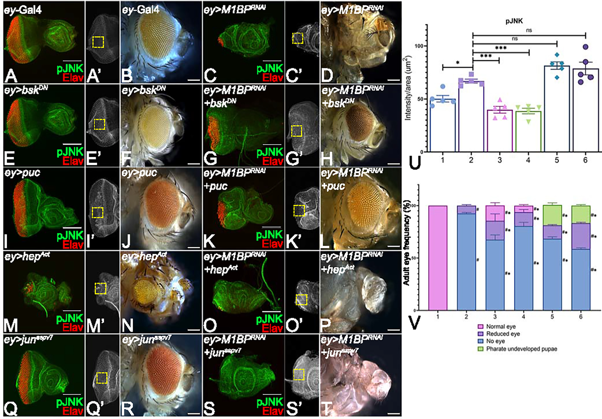 Figure 3: