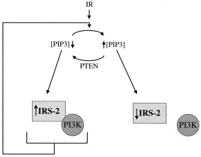 FIG. 8