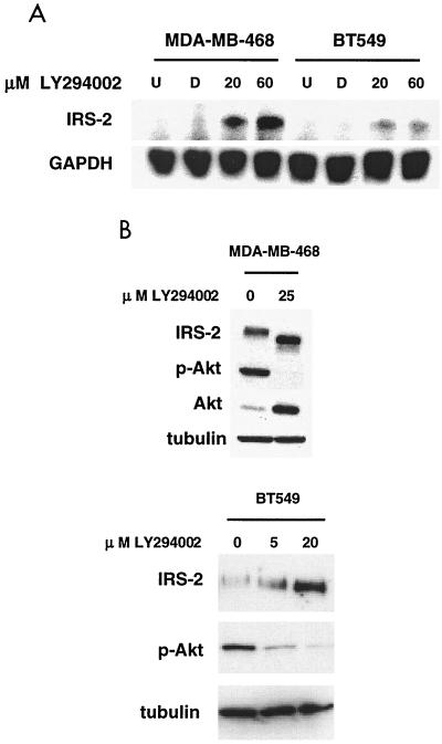 FIG. 5