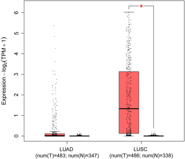 FIGURE 1